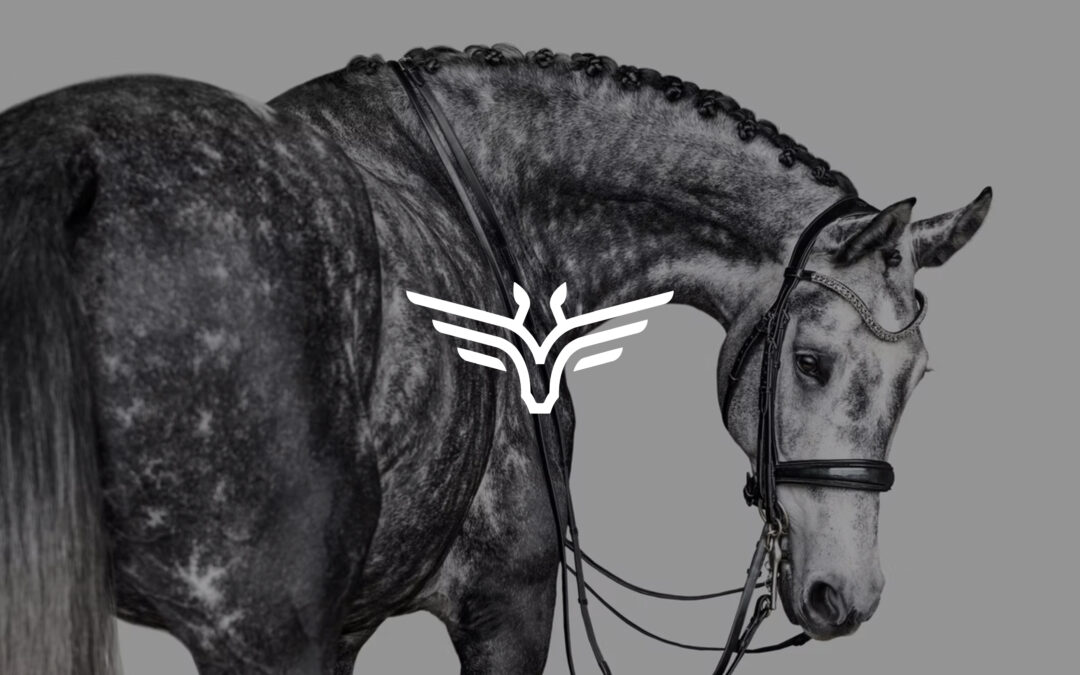Diseño Logotipo «Elite Groom»