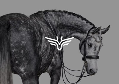 Diseño Logotipo «Elite Groom»