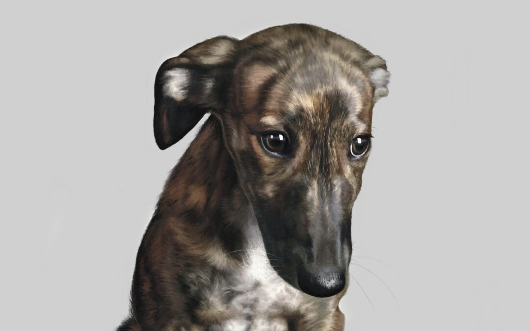 Ilustración Realista