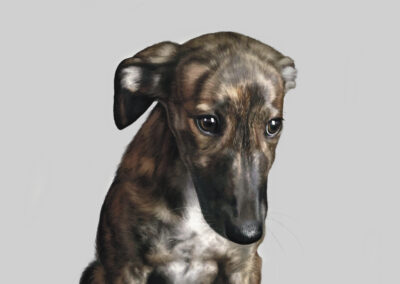 Ilustración Realista