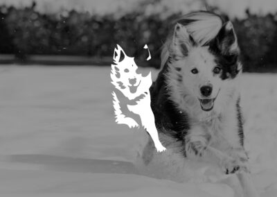 Logotipo para Influencer Ninjaskadi